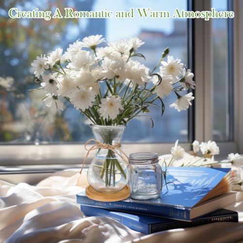 Bulb Glass Vases for Flowers Forcing Hyacinth Clear Decorative Bulb Vase with Round Bamboo Coaster for Home Office Table Decoration(12 Pcs)