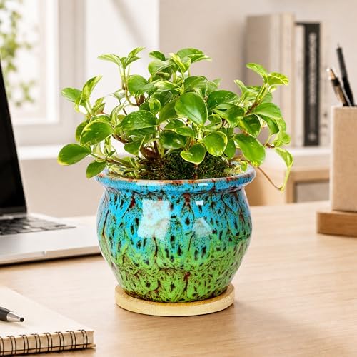 4.5 Inch Plant Pots, Small Pots for Plant Indoor, Succulent Pots with Tray