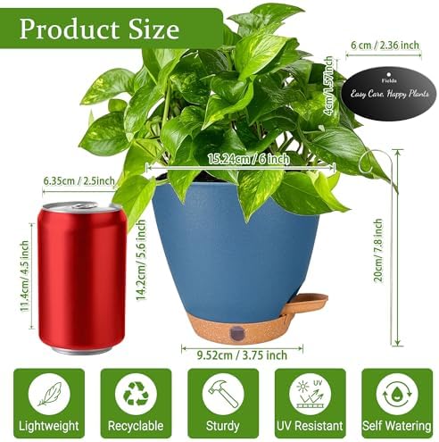 6 Inch Small Self Watering Pots for Indoor Plants, 5-Pack
