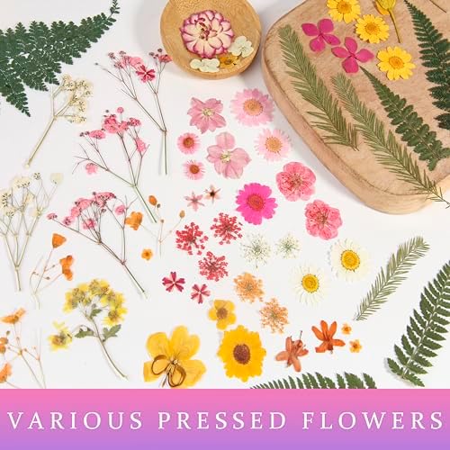 110+PCS Pressed Flowers for Resin Molds, Colorful-A
