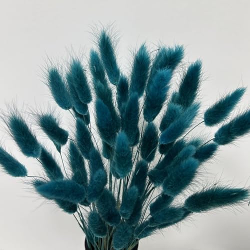 120pcs Bunny Tails Dried Flowers Pampas Grass Bouquet, Teal, 17 inch