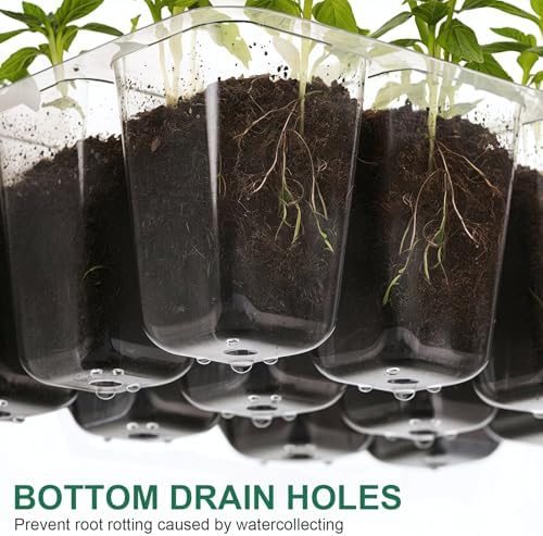 10 Pack Seed Starter Trays, 120 Cells with Humidity Domes and Base Trays