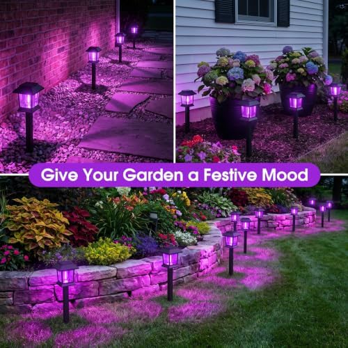Greluna Solar Lights Outdoor,12 Pack Purple Waterproof Auto On/Off Solar Pathway Lights for Your Garden, Landscape, Path, Yard, Patio, Driveway,Walkway Halloween Decor