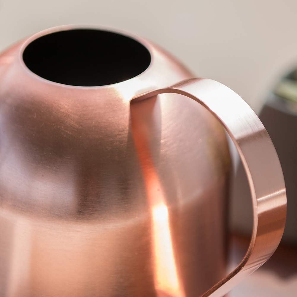 Watering Can for Indoor Plants, 30oz Long Spout Stainless Steel | Long Spout Design Delivers Precise Watering Directly
