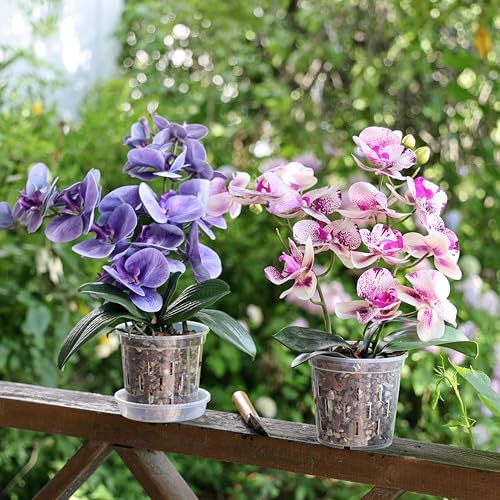 TRUEDAYS Orchid Pot, 4 Pack 6 Inch Plant Pot with Drainage