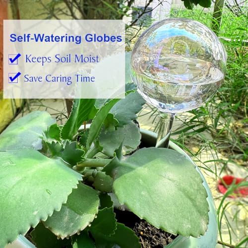 Glass Plant Watering Device, Planter Self Watering Globes for Home Potting