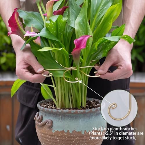 5PCS Monstera Plant Stem Support Stakes - 5.5 in Metal Supports