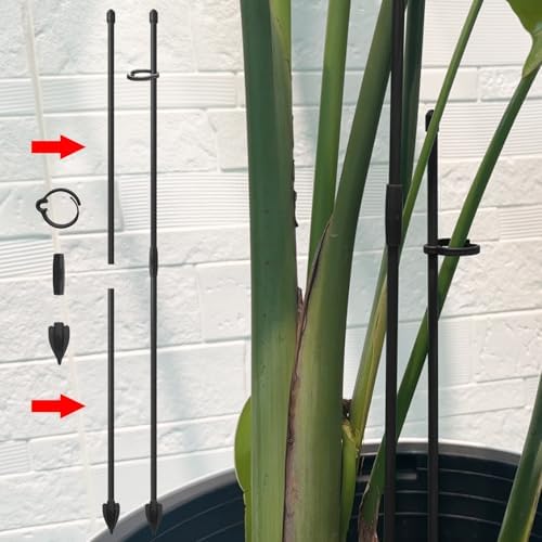 RIFNY Plant Stakes for Indoor Plants, Plant Support Stakes, 14 Inch