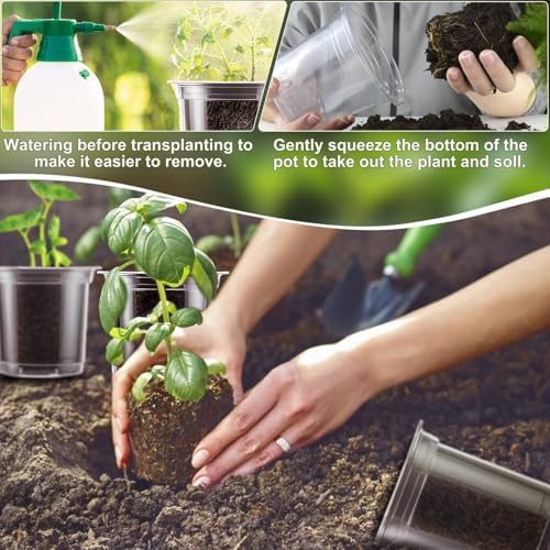 SupKing 4 Inch Clear Plant Nursery Pots 20 Packs Small Plastic Seed Starters Orchid Flower Pot with Drainage Holes for Transplanting Succulents Cuttings Seedlings Bonus 15 Plant Labels