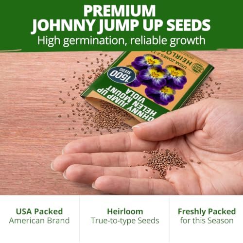 HOME GROWN Johnny Jump Up Helen Mount Viola Seeds, 1,500, Viola Tricolor