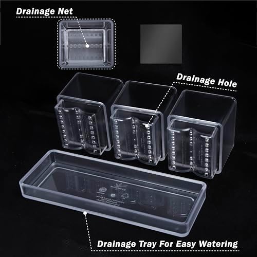 D'vine Dev Acrylic Herb Garden Planter Set, Clear, 76-V-D-1