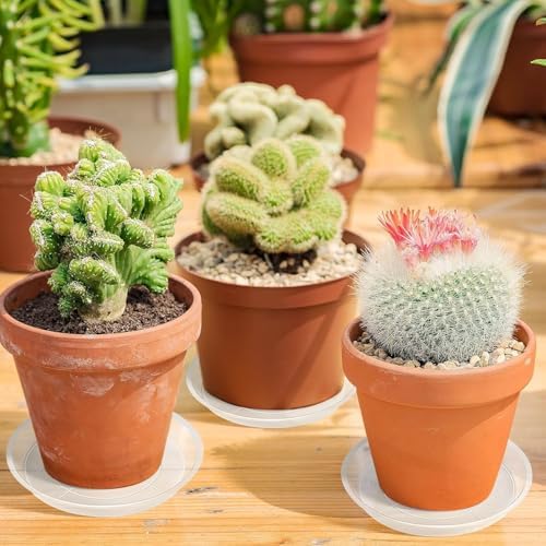 Augshy 18Pcs Plant Saucer, Transparent Drip Tray for Potted Plants, 2 Sizes