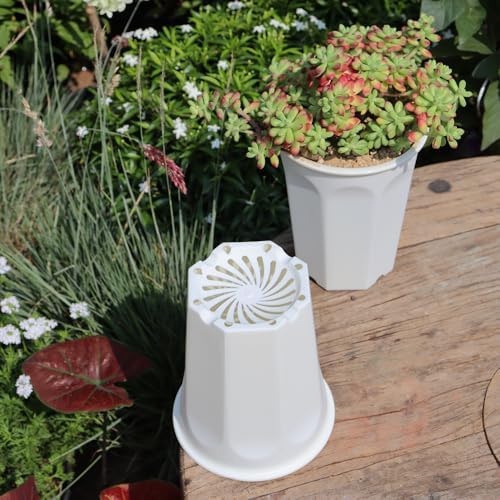 8 Pack 6.10 Inch White Plastic Deep Nursery Pot and Seedling Planter for Succulent, Cutting, Transplanting