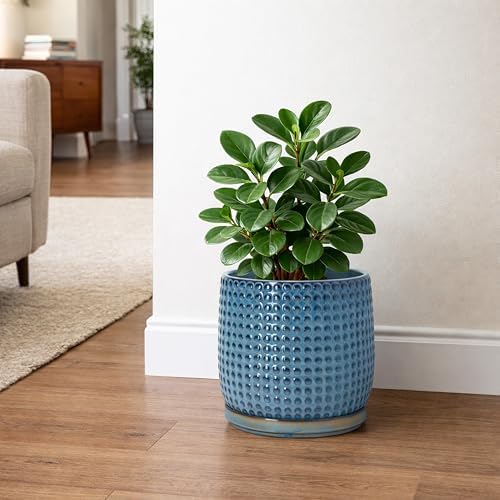 D'vine Dev Beaded Ceramic Pot with Saucer, 8 in, Ocean Teal, 27-C-Q-8
