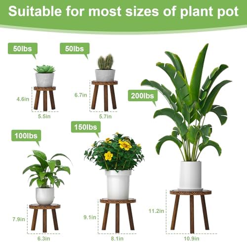5-Pack Wood Plant Stands Indoor, Single Plant Stand for 6-12 Inch Pots, Mid-Century Modern Plant Stool, Tall Plant Stand for Large Plants for Living Room, Balcony, Office (Dark Brown)