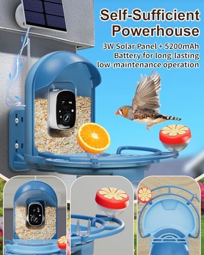 Bird Feeder with Camera, AI Recognition, Bird Bath, Solar Powered