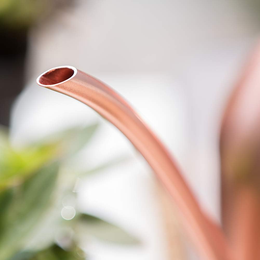 Watering Can for Indoor Plants, 30oz Long Spout Stainless Steel | Long Spout Design Delivers Precise Watering Directly