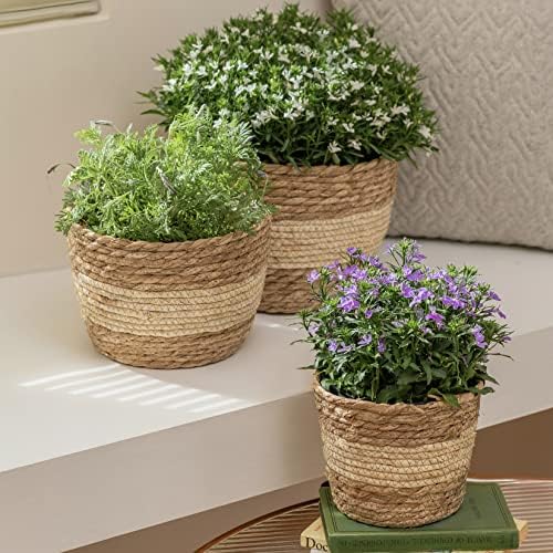 LA JOLIE MUSE Seagrass Basket Planters for Indoor Plants, Flower Pot 3 Pack