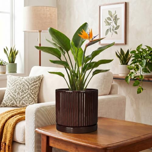 8 Inch Ceramic Flower Pots, Round Planter with Saucer, Brown