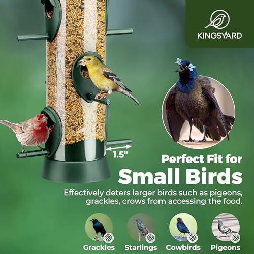 Kingsyard Tube Bird Feeder for Outdoors Hanging
