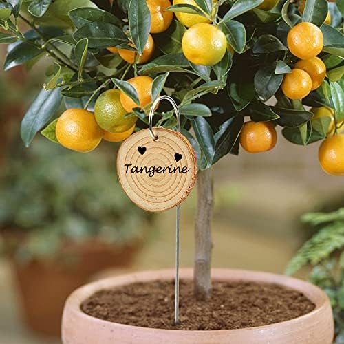 Temlum Wooden Plant Labels for Indoor & Outdoor Plants, 25pcs