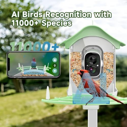 Bird Feeder with Camera Solar,2K HD Live Video Outdoors,Smart AI Identify