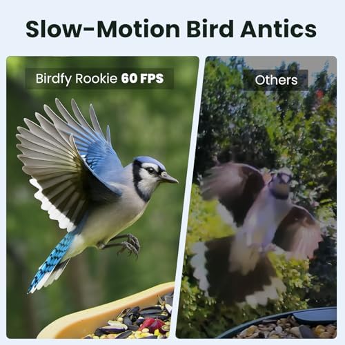 Birdfy Smart Bird Feeder with Camera for Beginners, Rookie AI 7 Day Trial
