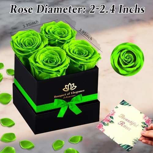 Green Forever Flowers Roses in A Box,Real Preserved Flowers,Preserved Roses,Forever Flower Gifts for Women/Men/Mom,Flowers for Valentine's Mothers Day