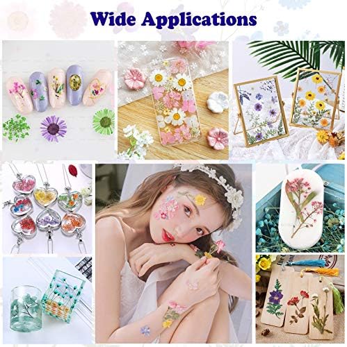 46Pcs Pressed Dried Flowers Real Natural Leave for DIY Resin Molds Candle Jewelry Nail Crafts