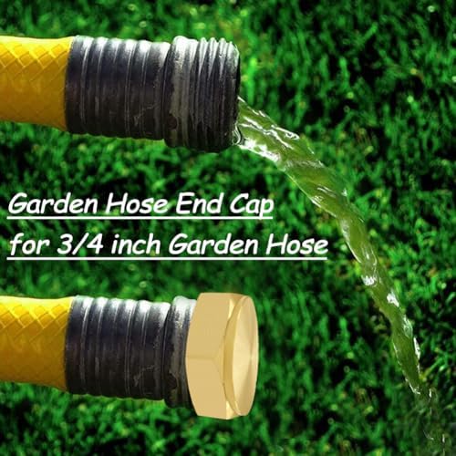 Uenede 8PCS Brass 3/4" GHT Female Garden Hose End Cap Hex Plug with Gaskets Spigot Plugs Caps Fittings (Pack of 2)