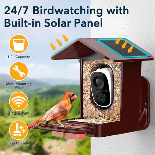 PeckCam® Bird Feeder with Camera Solar Powered 2K Live Video Auto Capture