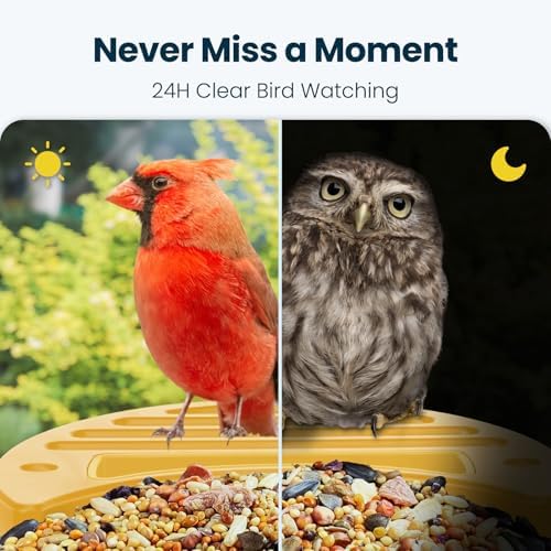 Smart Bird Feeder with Camera, Yellow