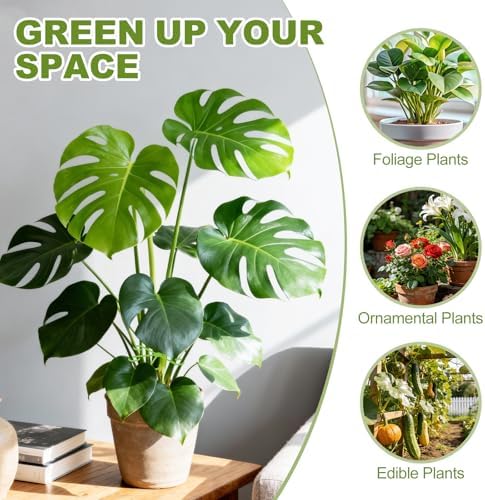 Plant Stem Support, 24PCS 4-Size Monstera Plant Support for Indoor Plants