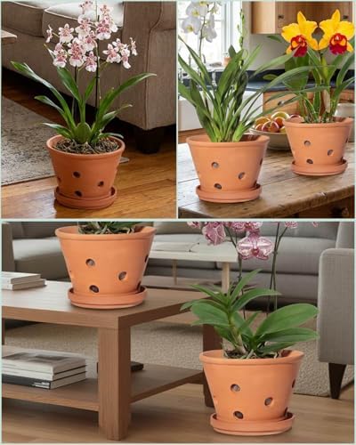 vensovo 8 Inch Terracotta Orchid Pots with Holes and Saucers - 2 Pack Clay Orchid Planter Pots for Repotting, Breathable Flower Pots for Indoor Outdoor, Promotes Air Circulation & Healthy Roots