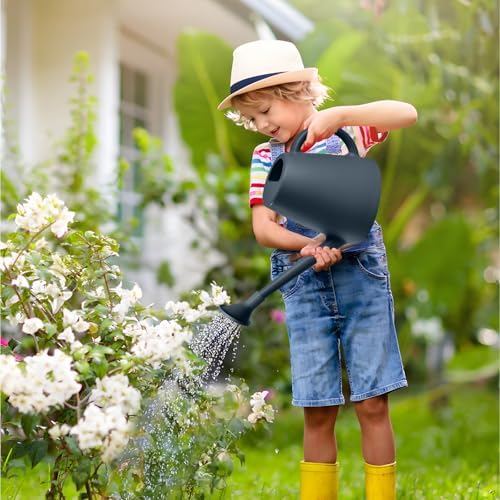 Plastic Watering Can - for Indoor and Outdoor House Plant Garden - with Long Spout - 1/2 Gallon - Grey