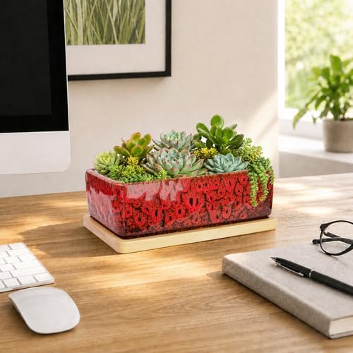 Succulent Pots, 7'' Large Long Rectangle Planters with Drainage Tray
