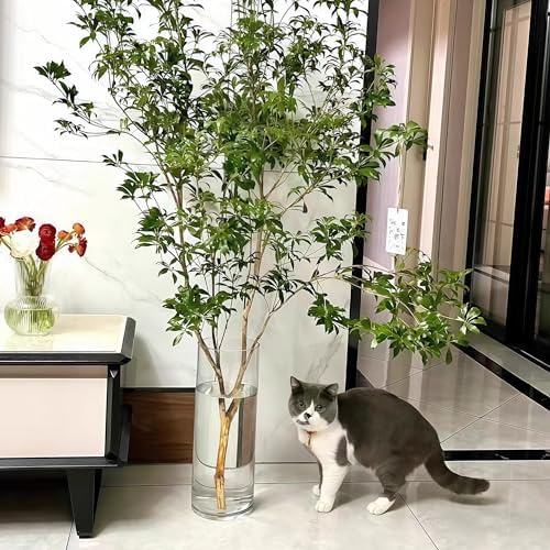 Liotww XL Large Acrylic Cylinder Clear Plastic Flower Vase for Home Decor