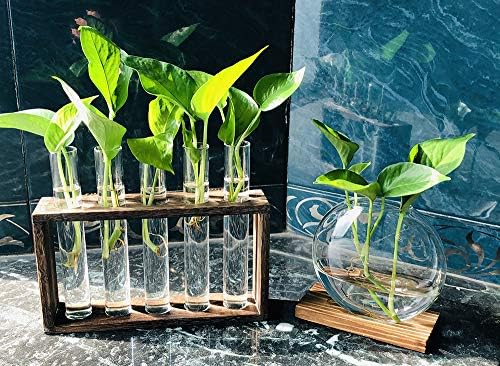 5 Tube Wooden Plant Propagation Station, Tabletop Glass Terrarium Holder for Cuttings Hydroponics, Home Office Desk Decor Gift for Women Mom Plant Lovers, Brown