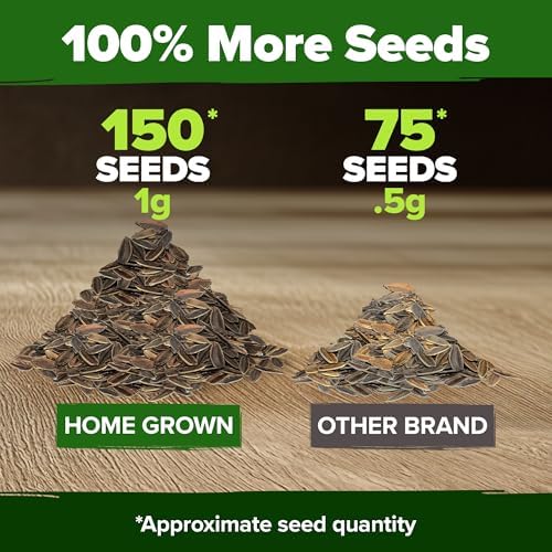 HOME GROWN Zinnia Seeds, Will Rogers, 150 Seeds, Zinnia elegans
