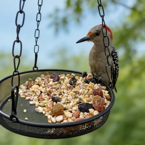 Bird Feeder, Hanging Bird Feeders for Outdoors Metal Mesh Birdfeeder Tray