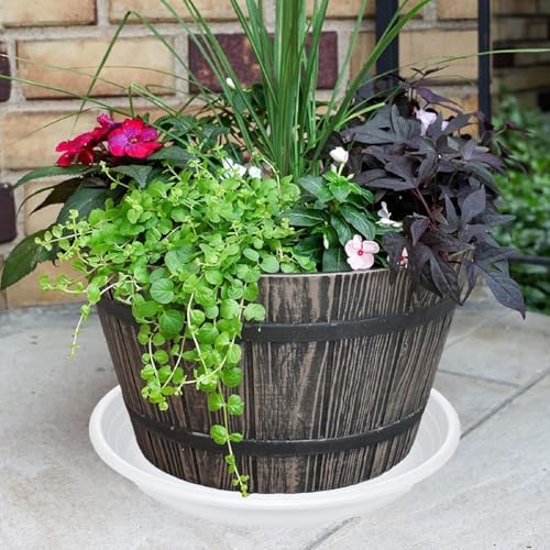 2 Pack of 12 inch Plant Saucer, Large Plant Tray, Heavy Sturdy Plant Drainage Tray for Indoors, Bird Bath Bowls, Sturdy Plastic Pot Tray for Planter (White)