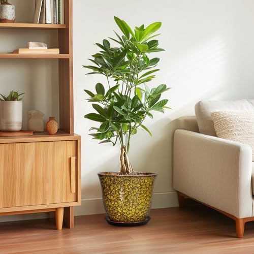 Ceramic Pots for Plants, 10 Inch Plant Pot for Indoor, Yellow
