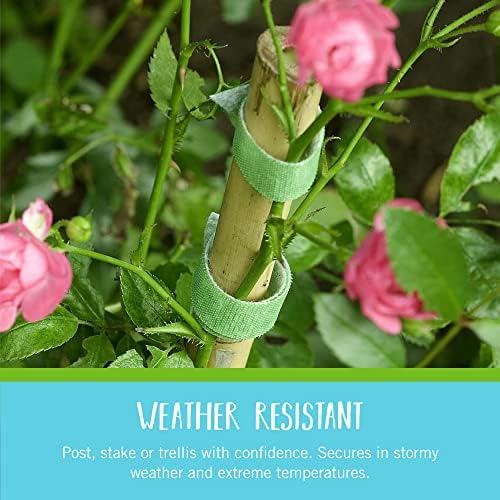 Velcro Brand Adjustable Plant Ties, Green Garden Tape, 75 ft x 1/2 in