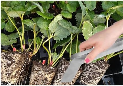 2 Pcs Seedling Transplanting Tongs, 6.7/8.7 inch Stainless Steel Gardening Remove Seedling Starters, Seedling Remove Pliers for Reducing Root Damage