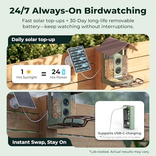 Kiwibit Smart Bird Feeder with 4K AI Camera Solar Powered, No Subscription