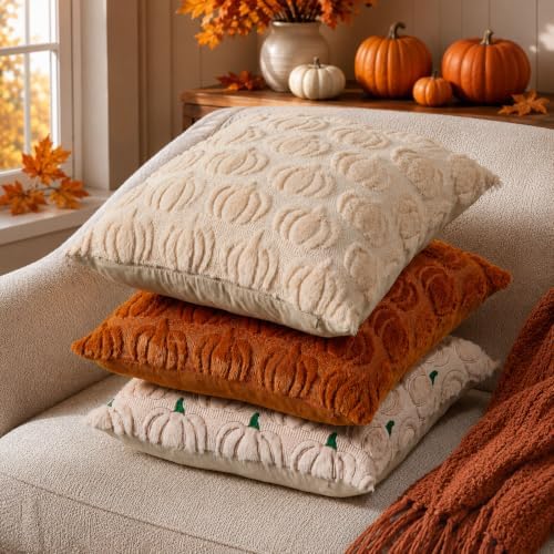 DFXSZ Fall Pillow Covers 20x20 2Pcs Beige Pumpkin Fall Decorations for Home