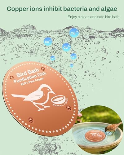 OICEME Bird Bath Purification Disk Pure Copper Outside Winter Solar Power Birdbath Wild Hummingbird Feeder Pedestal Fountain Cleaner Cage Dispenser Bowl Ground Safe Garden Sunflower Bird Gifts