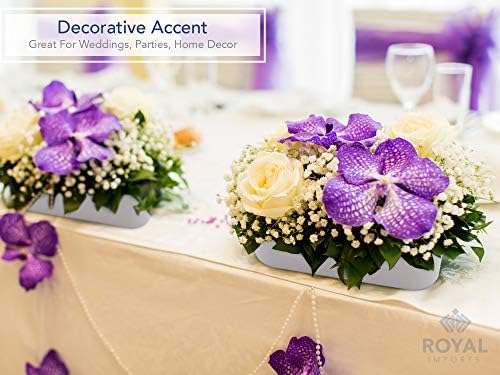 Royal Imports Oval Plastic Cylinder Flower Vase Non-Breakable Acrylic 4"