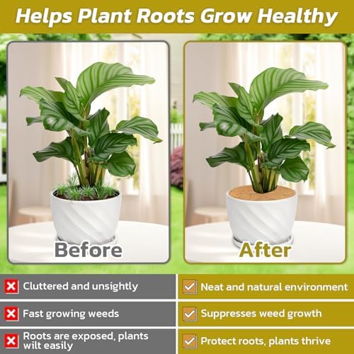 Legigo 4 Pack Coconut Fiber Mulch Ring Tree Plant Protector Mat, 11.8 Inch