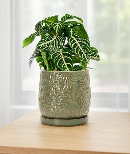 D'vine Dev Embossed Leaves Ceramic Planter, 6 in, Olive, 27-A-X-0